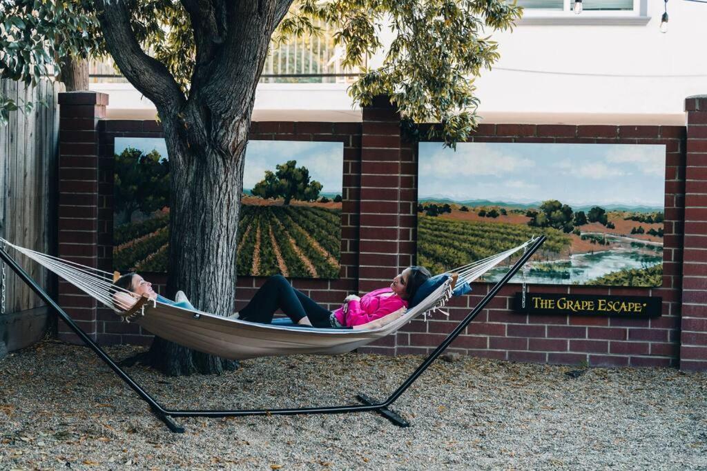 Grape Escape & Guest house *